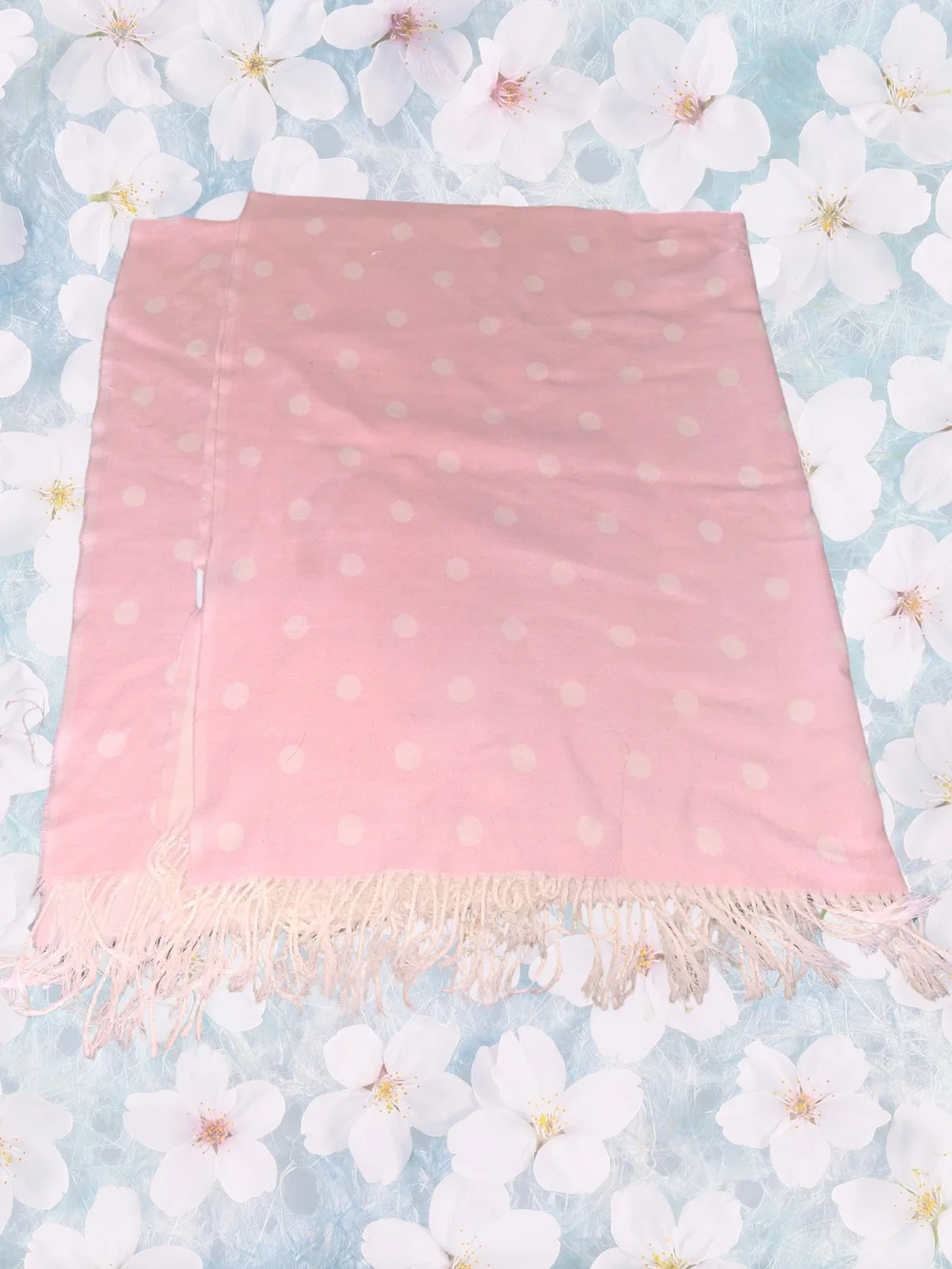 Reversible Blanket